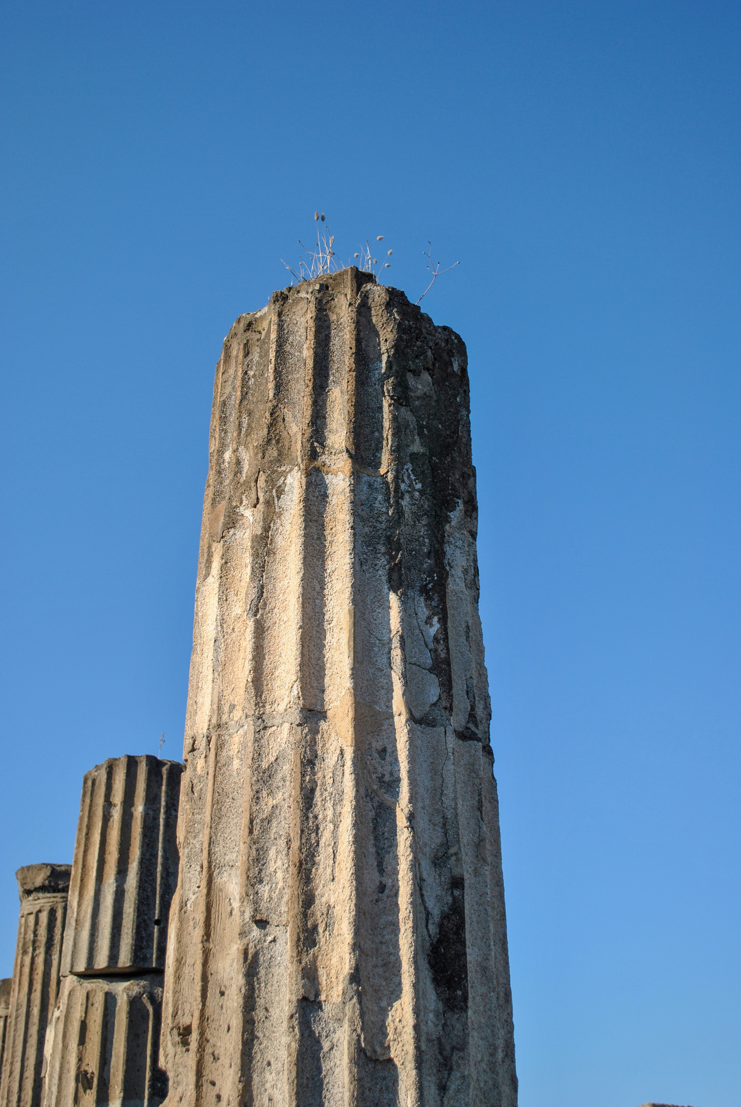 DSC_0029