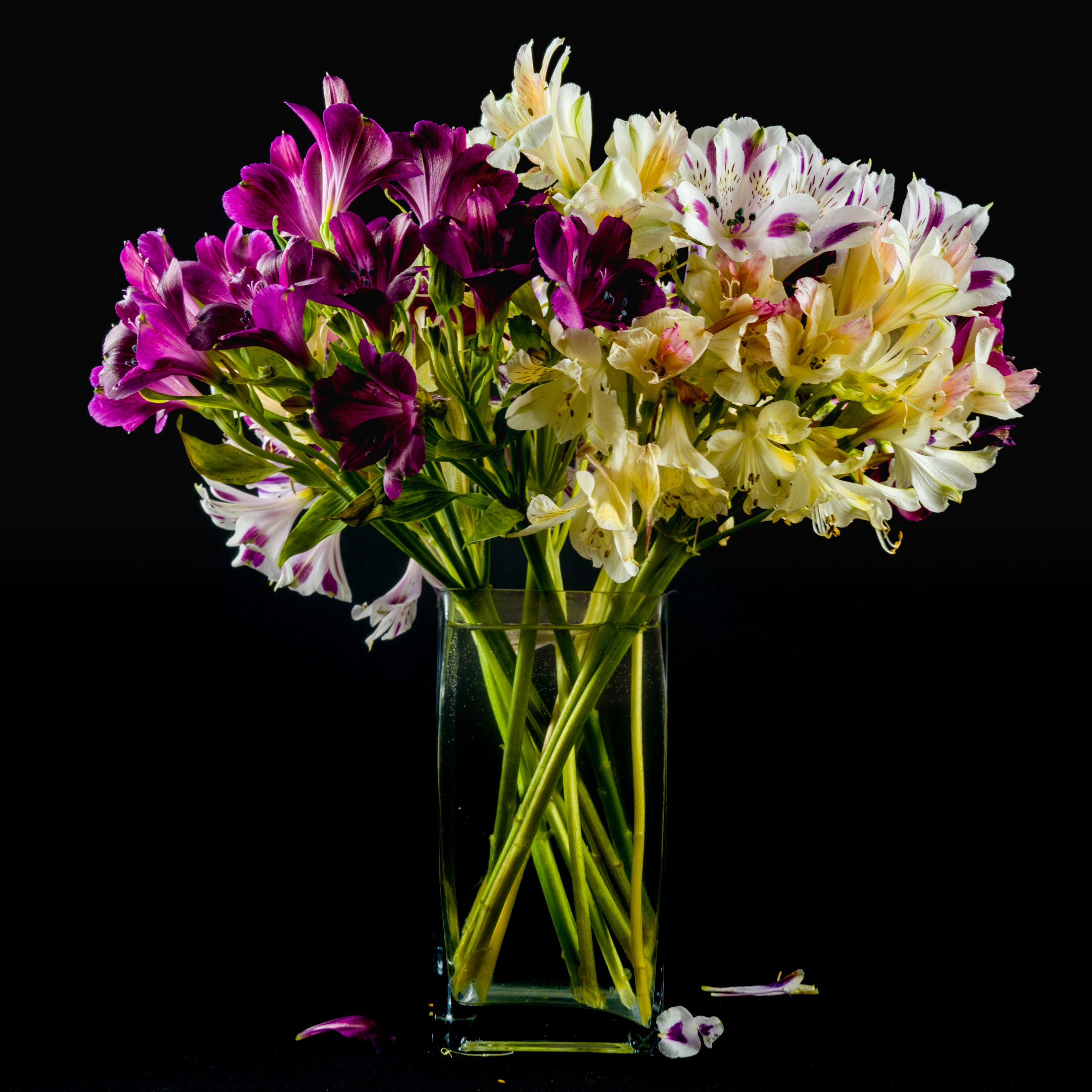 KakaoTalk_20210417_094909713