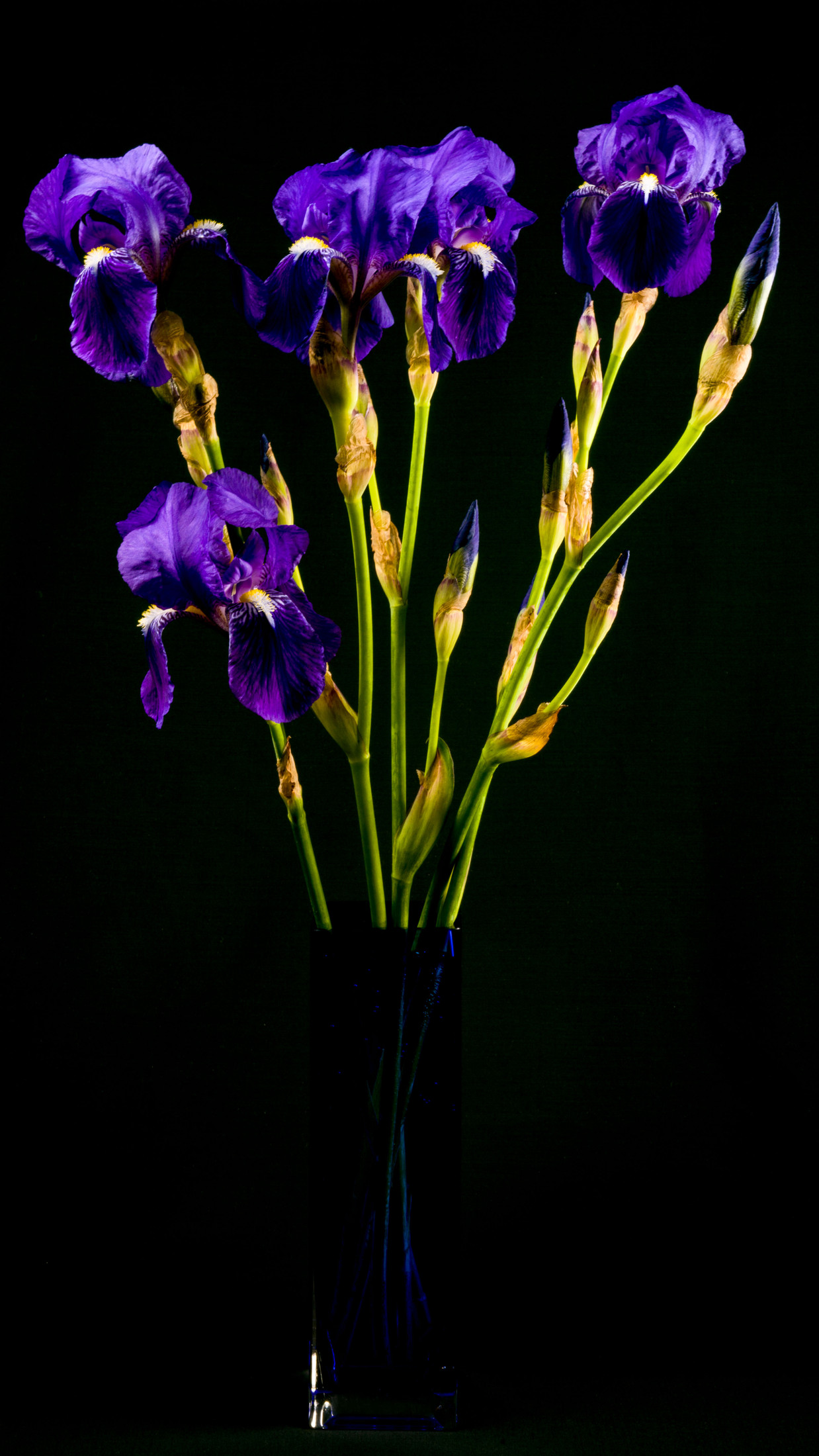 KakaoTalk_20210417_193838205