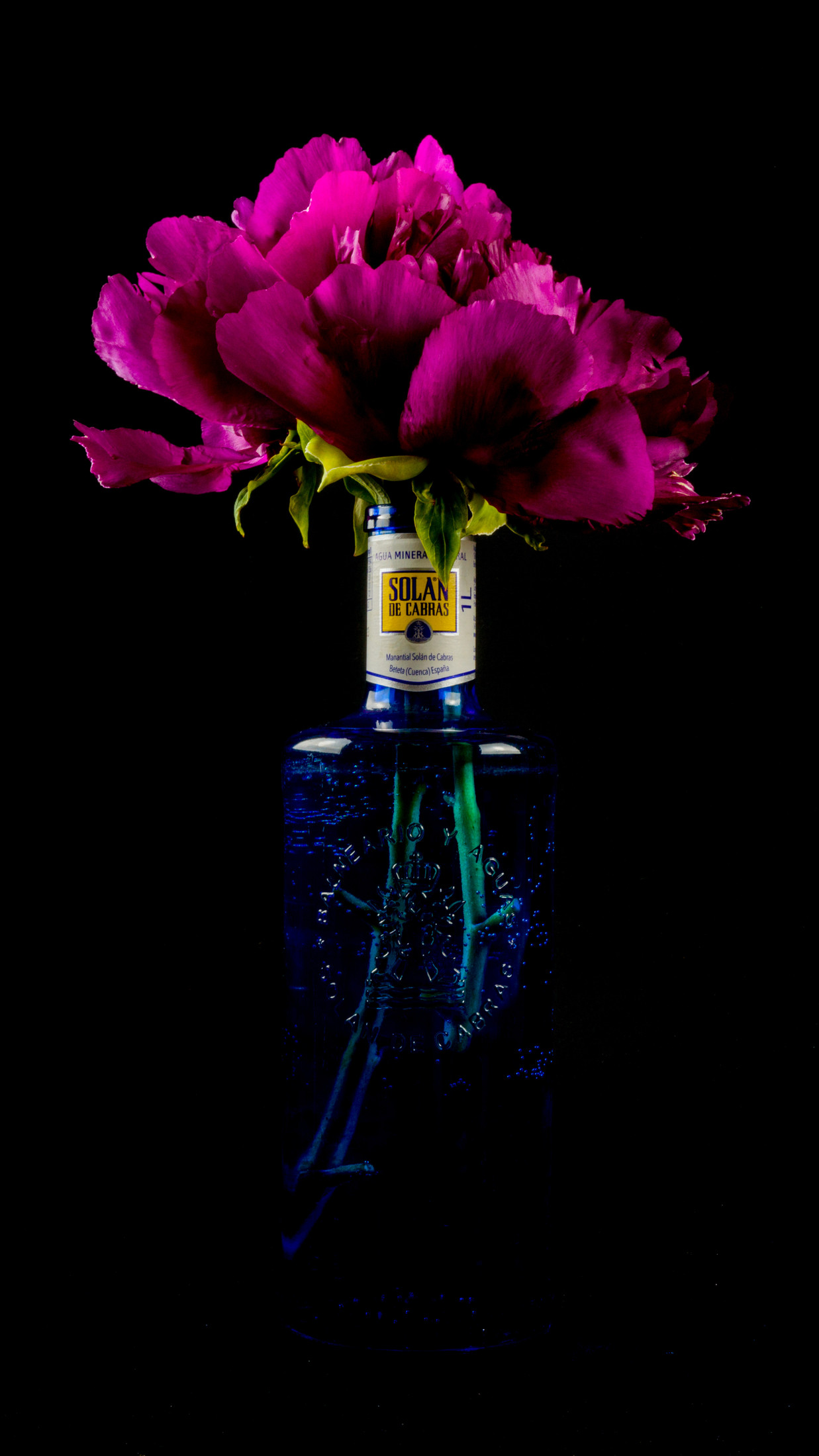 KakaoTalk_20210417_193918560